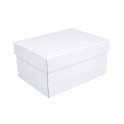 Úložná krabica s vekom 300x215x150 mm, bielo-biela
