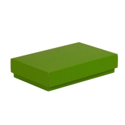 Darčeková krabička s vekom 250x150x50/40 mm, zelená