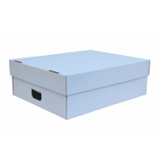 Úložná krabica s vekom 550 x 440 x 190 mm, BIELA