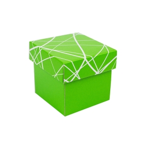 Darčeková krabička 100x100x100/35 mm, zelená so vzorom na veku
