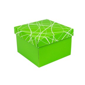 Darčeková krabička 200x200x140/35 mm, zelená so vzorom na veku