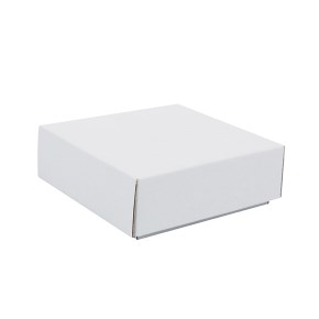 Darčeková krabička s vekom 100x100x35 mm, bielo/biela