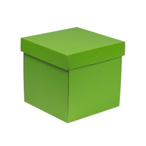 Darčeková krabička s vekom 200x200x200/40 mm, zelená