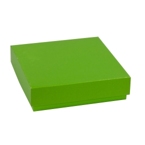 Darčeková krabička s vekom 200x200x50/40 mm, zelená