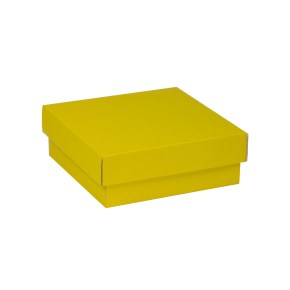 Darčeková krabička s vekom 200x200x70/40 mm, žltá