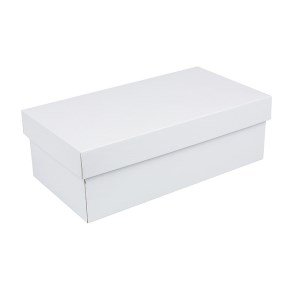 Darčeková krabička s vekom 250x170x110/35 mm, bielo/biela