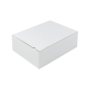 Rýchlouzatváracia krabica 3VVL 245x170x85 mm, lepiaca páska, biela