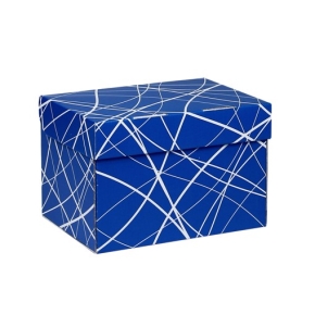 Úložná krabica 205x150x140 mm, modrá so vzorom