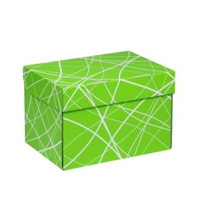 Úložná krabica 205x150x140 mm, zelená so vzorom
