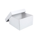 Úložná krabica s vekom 250x250x150 mm, bielo-biela