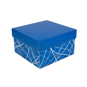 Úložná krabica s vekom 250x250x150 mm, modrá, dno so vzorom