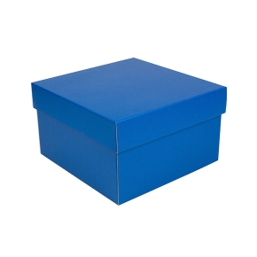 Úložná krabica s vekom 250x250x150 mm, modrá matná