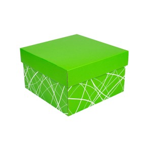 Úložná krabica s vekom 250x250x150 mm, zelená, dno so vzorom