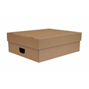 Úložná krabica s vekom 550 x 440 x 190 mm